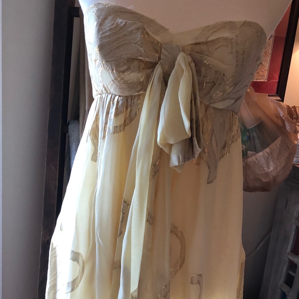 Nicole Miller Collection Silk Strapless Dress-6